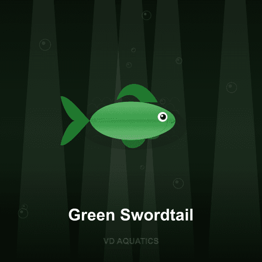 Green Swordtail — Platy & Swordtail freshwater tropical fish exported from Indonesia