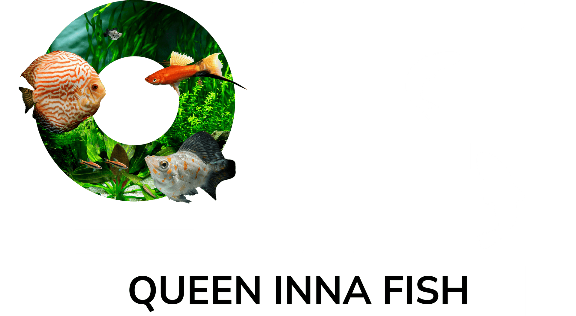 Queen Inna Fish
